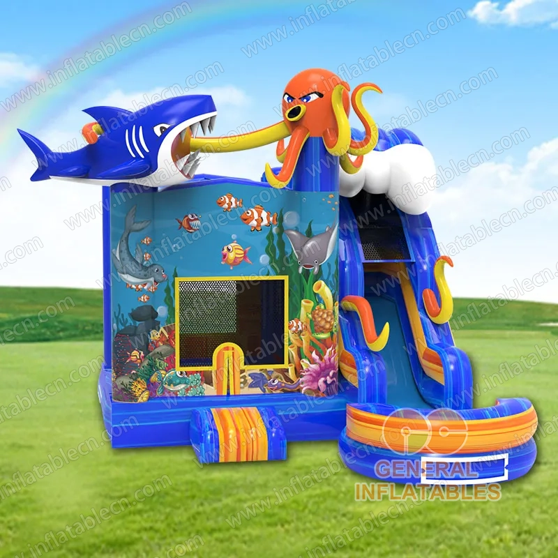 Whale Water Slide